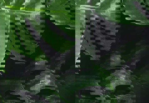 Our Sustainability Goals - Equal Eyewear