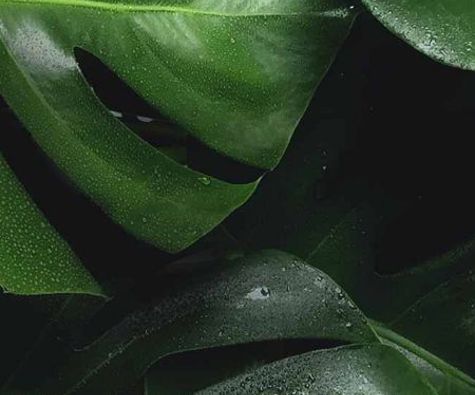 Equal Social Media – 5